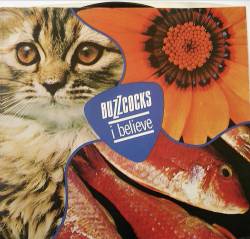 Buzzcocks : I Believe